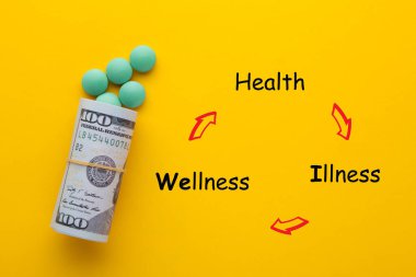 Sağlık, Hastalık ve Sağlık daire çizelgesinde 100 dolarlık banknotları olan tıbbi haplarla birlikte. Sağlık ve Tıp Konsepti.