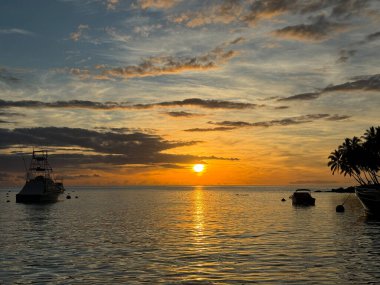 Kona, Hawaii kıyısı boyunca turuncu bir günbatımının önüne kurulmuş balıkçı teknesi ve palmiye ağaçları..