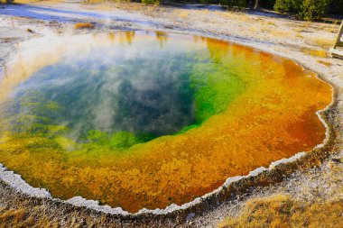 Büyük Prismatik Bahar. Midway Gayzer Havzası.