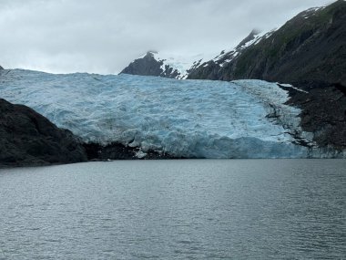 Portage Buzulu, Amerika Birleşik Devletleri 'nin Alaska eyaletinin Kenai Yarımadası' nda bulunan bir buzuldur.. 