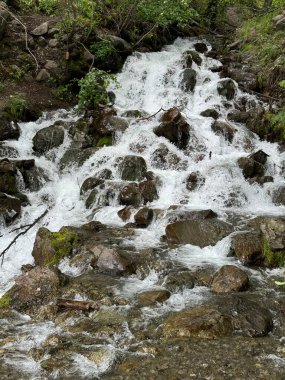 Kızgın su akıntısı dağ nehri Alaska 
