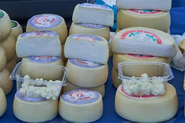 Yerel bir markette geleneksel peynir çarkları ve peynir küplerinin plastik kaplarda sergilenmesi. Lezzetli bir sanatsal süt ürünleri sergisi..