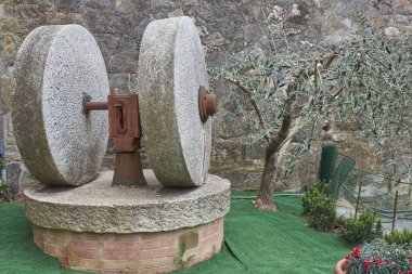İki büyük, yıpranmış gri taş değirmeni tekerlekleri, paslanmış kırmızı bir merkezi mekanizmayla, açık havada, genç bir zeytin ağacının yanında, Toskana 'da taş bir duvara karşı sergileniyordu..