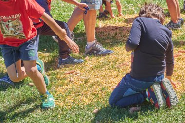 Çocuklar aktif olarak meşgul, güneş ışığı altında yeşil çimlerin üzerinde kurumuş mısır taneleri ile çevrili, bu da dışarıda eğlenceli bir etkinlik ya da hasat ile ilgili bir etkinlik olduğunu gösteriyor..