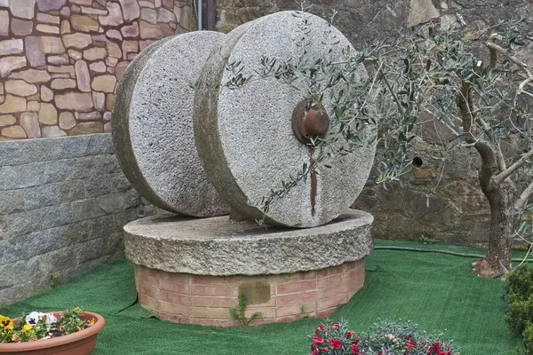 İki eski, desenli granit değirmen taşı, paslı metal bir göbeği var, tuğla ve taş temelde duruyor. Yanlarında yeşil yapraklı bir zeytin ağacı yetişir, yemyeşil zemin ile çelişir..