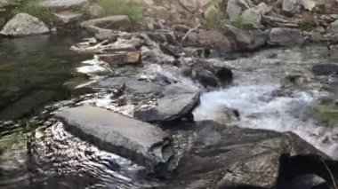 Dağ nehri suyunun yakın görüntüsü kayaların üzerinden akıyor, sonbahar ortamı