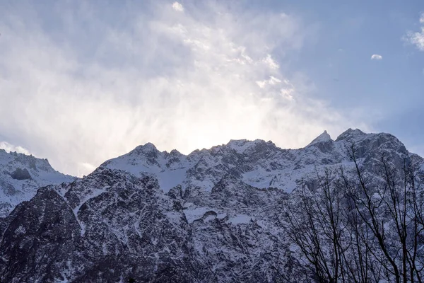 stock image snow covered himalaya mountains with coniferous trees in front and a blue snowy sky showing manali, lahaul, spiti and leh tourist place in India