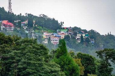 Köyün Shimla Darjeeling ghoom 'u önlerinde ağaçlar ve Hindistan' da sislerle dağın tepesinde.