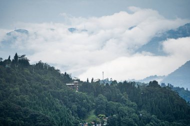Bulutlar vadide süzülüyor. Ağaçlarla kaplı tepeler. Manali, Shimla ve Darjeeling 'de evleri var.
