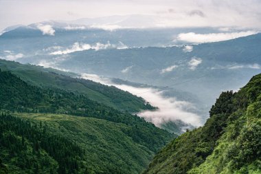 Bulutlar vadide süzülüyor. Ağaçlarla kaplı tepeler. Manali, Shimla ve Darjeeling 'de evleri var.