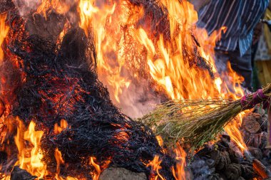 Holi Hasat Festivali 'nde mısır fasulyesi kızartılan Lohri, Kuzey Hindistan' da kutlandı.