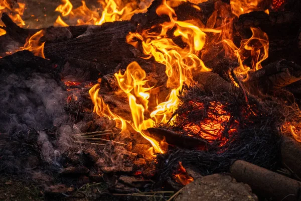 Lohri Holi festivalinde Hindu dininin ateş Hindistan 'ı sembolize ettiğini gösteren büyük şenlik ateşini yakından çek.