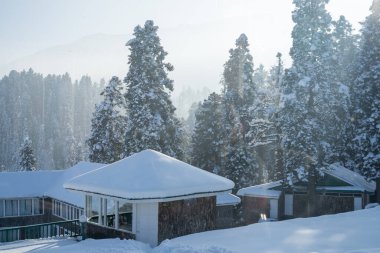 Karla kaplı ahşap kulübeler etrafını çevreleyen çam ağaçları ve Gulmarg Srinagar Kaşmir 'deki sisten dışarı bakan Himalaya dağları.