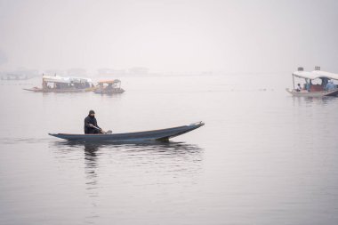 Srinagar, Kashmir - 3 Ocak 2025: Yalnız bir kayıkçı, Dal Gölü 'nün sisli sularında kürek çekiyor.