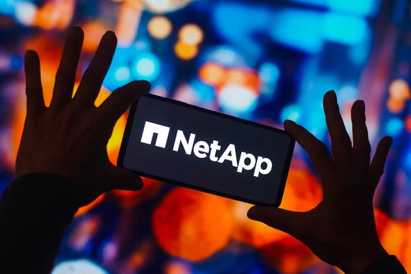 Kasım 2022 Brezilya Resimde Network Appliance Netapp Logosu Bir Akıllı — Stok fotoğraf