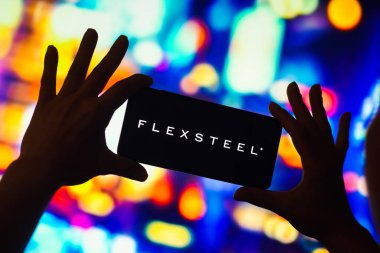 7 Aralık 2022, Brezilya. Bu resimde, Flexsteel Industries logosu akıllı telefon ekranında gösteriliyor.