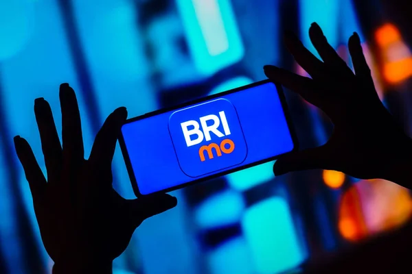 Февраля 2023 Года Бразилия Этой Иллюстрации Логотип Brimo Payment Отображается — стоковое фото