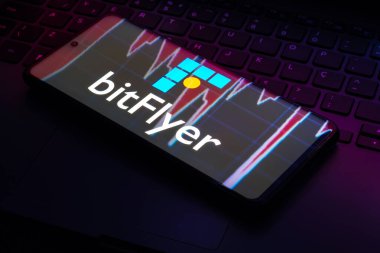 20 Şubat 2023, Brezilya. Bu fotoğraf illüstrasyonunda, bitFlyer logosu bir akıllı telefonda görüntülenir