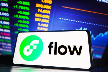 28 Mart 2023, Brezilya. Bu resimde, Flow logosu akıllı telefon ekranında görüntülenir