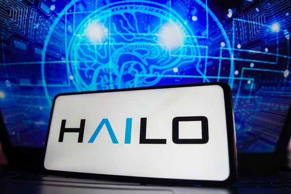 April 2023 Brasilien Dieser Foto Illustration Wird Das Hailo Logo — Stockfoto