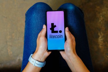 20 Haziran 2023, Brezilya. Bu resimde, Litecoin logosu akıllı telefon ekranında görüntülenir