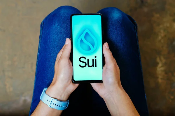Haziran 2023 Brezilya Resimde Sui Logosu Akıllı Telefon Ekranında Gösteriliyor — Stok fotoğraf
