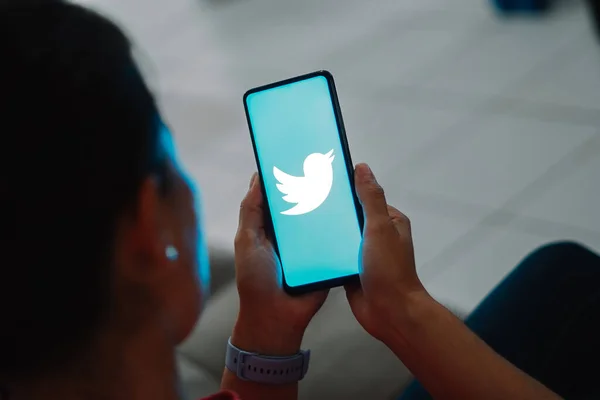 2023年7月7日 ブラジル この写真のイラストでは Twitterのロゴがスマートフォンの画面に表示されます — ストック写真