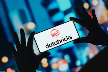 22 Kasım 2023, Brezilya. Bu resimde, Databricks logosu akıllı telefon ekranında görüntülenir