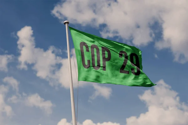 Kasım 2023 Brezilya Birleşmiş Milletler Klim Değişikliği Konferansı Cop29 Kısa — Stok fotoğraf