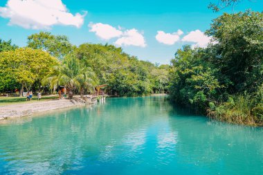 21 Mart 2024, Brezilya. Formoso Nehri 'nin bir kısmı, Bonito' daki belediye tatil beldesinde, Mato Grosso do Sul 'da. Şehir Brezilya 'nın en önemli eko-turizm merkezlerinden biridir. Ana cazibesi, nehirlere dalan doğal manzaralardır.