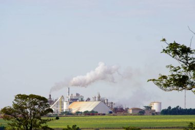 2 Haziran 2024, Brezilya. Mato Grosso do Sul 'daki Adecoagro Vale do Ivinhema Fabrikası manzarası. Şeker kamışı, şeker ve enerji endüstrisi Brezilya 'da son yıllarda büyüyor