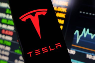 10 Haziran 2024, Brezilya. Bu resimde, Tesla, Inc. logosu akıllı telefon ekranında gösteriliyor