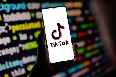 19 Temmuz 2024, Paraguay. Bu resimde, TikTok logosu akıllı telefon ekranında görüntülenir