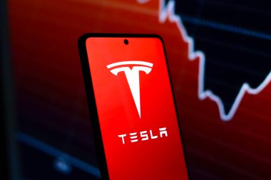 24 Temmuz 2024, Paraguay. Bu resimde, Tesla, Inc. logosu akıllı telefon ekranında gösteriliyor
