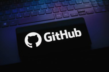 4 Ağustos 2024, Paraguay. Bu resimde GitHub logosu akıllı telefon ekranında gösteriliyor.
