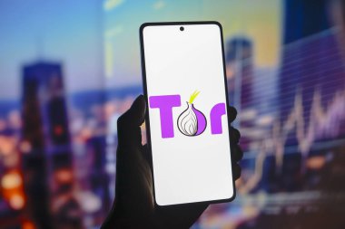 15 Ağustos 2024, Paraguay. Bu fotoğraf illüstrasyonunda, Tor web tarayıcı logosu akıllı telefon ekranında görüntülenir