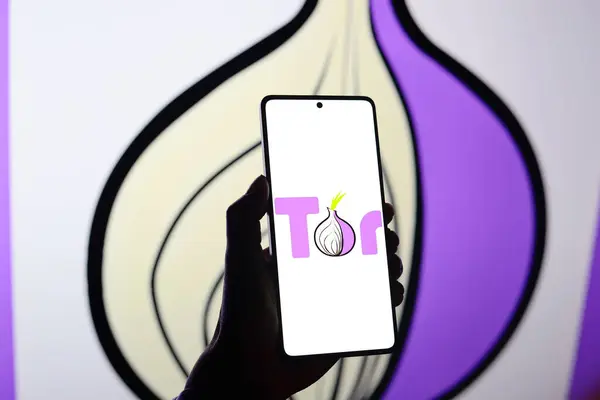 stock image August 15, 2024, Paraguay. In this photo illustration, the from the Tor web browser logo is displayed on a smartphone screen and in the background