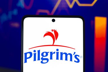 16 Ağustos 2024, Paraguay. Bu resimde Pilgrim 'in Gurur Şirketi logosu akıllı telefon ekranında gösteriliyor.