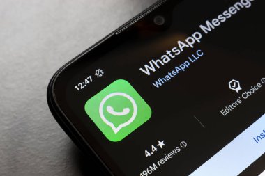 WhatsApp sosyal ağının logosu 20 Kasım 2024 tarihinde Reno, ABD 'de bir akıllı telefonun ekranında görüntülenmektedir.