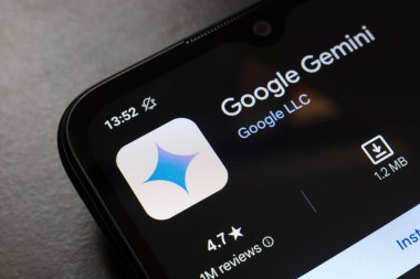 Google Gemini uygulamasının logosu 21 Kasım 2024 'te Reno, ABD' de bir akıllı telefonun ekranında görüntülendi.