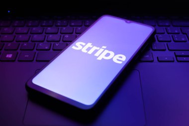 Stripe logosu 3 Aralık 2024 'te Reno, ABD' de bir akıllı telefonun ekranında belirdi.