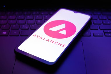 Çığ logosu 3 Aralık 2024 'te Reno, ABD' de bir akıllı telefonun ekranında göründü.