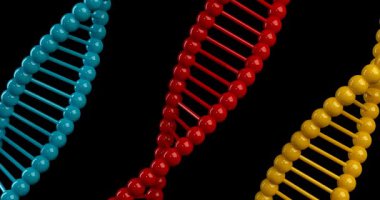 Bilim Araştırma ve Geliştirme Teknolojisi Platformu Kavramı