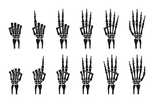 Костная Рука Скелета Показывает Число Пальцами Коллекция Ручных Рисунков Скелетов Стоковая Иллюстрация