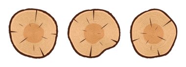 Ağaç gövdesi ağaç halkalarıyla kesilir. Dilimlenmiş ağaç gövdesi seti. Elle çizilmiş ahşap doku. Vektör illüstrasyonu.