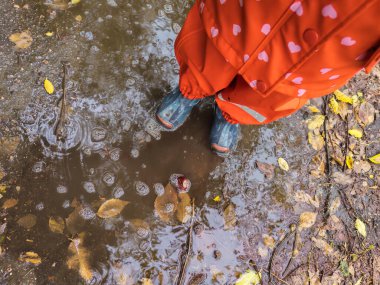 Çocukların Yağmurlu Çizmeleri ve Sonbahar Yaprakları Islak Gün Yaprakları Kırmızı su geçirmez yağmurluk, gri ve mavi lastik botlar içinde çocukların ayaklarını suya yakın tutarak saf ve basit mutlulukları çocukluk ve sihirli yağmurlu günleri yakalıyorlar.