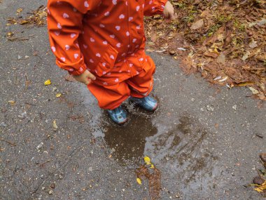 Yağmurlu bir sonbahar gününde su birikintisinde su sıçratan çocuk. Kırmızı su geçirmez yağmurluk giyen, gri ve mavi çizmeli küçük bir kız yağmurlu havalarda yol kenarındaki su birikintilerinde komik bir şekilde zıplıyor. İlkbahar, sonbahar. Yağmurdan sonra çocuk eğlencesi.