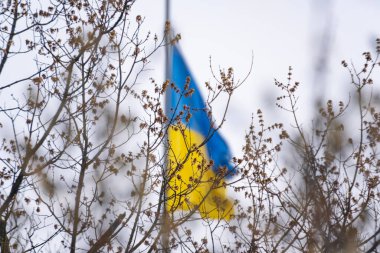 Bahar Dalları Arkasında Dalgalanan Ukrayna Bayrağı Özgürlük ve Dayanıklılık Sembolü. Ukrayna Bayrak ve Ağaç dallarıyla Yurtsever Sahnesi