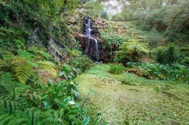 Sintra, Portekiz - 26 Şubat 2020: Beckfords Waterfall Park ve Monserrate Sarayı - Sintra, Portekiz