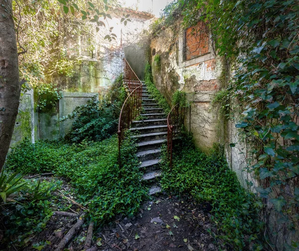 Escadas Antigas Sintra Portugal — Fotografia de Stock